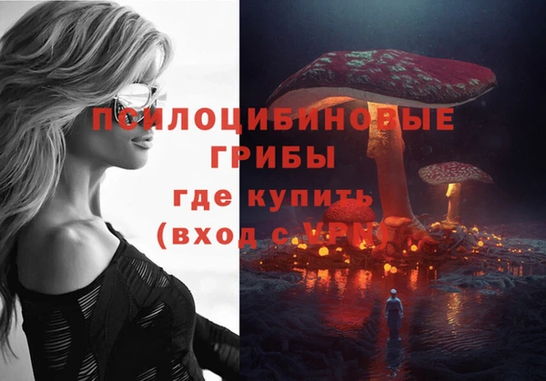 spice Бородино