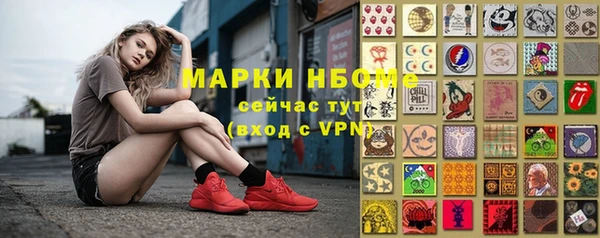 spice Бородино