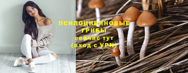 стаф Бугульма
