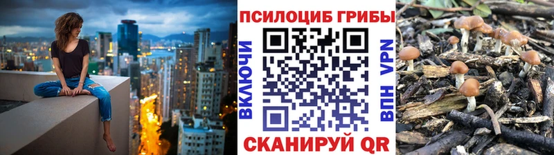 Галлюциногенные грибы Psilocybine cubensis Губаха
