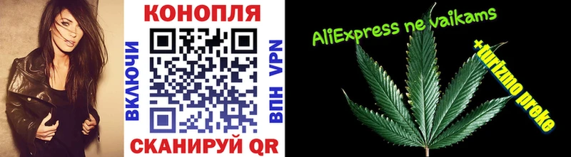 Конопля ГИДРОПОН где продают наркотики Губаха